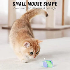 Jucărie Automată pentru Pisici